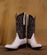 White Hornback Alligator with Choc Roo 1105