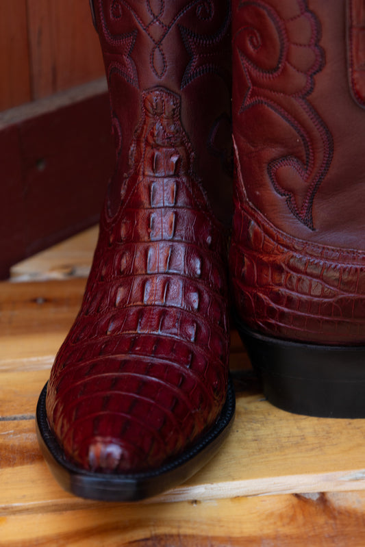 Hornback Burgundy Gator 4-107