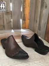 Chococalf Alligator 1701