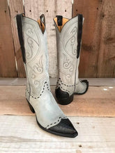 Blue Suede Kangaroo & Gator Tres Outlaws Women's Classic Boot 2520@