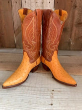 Butter Cup Cognac Ostrich Tres Outlaws Women's Classic Boot 1262@