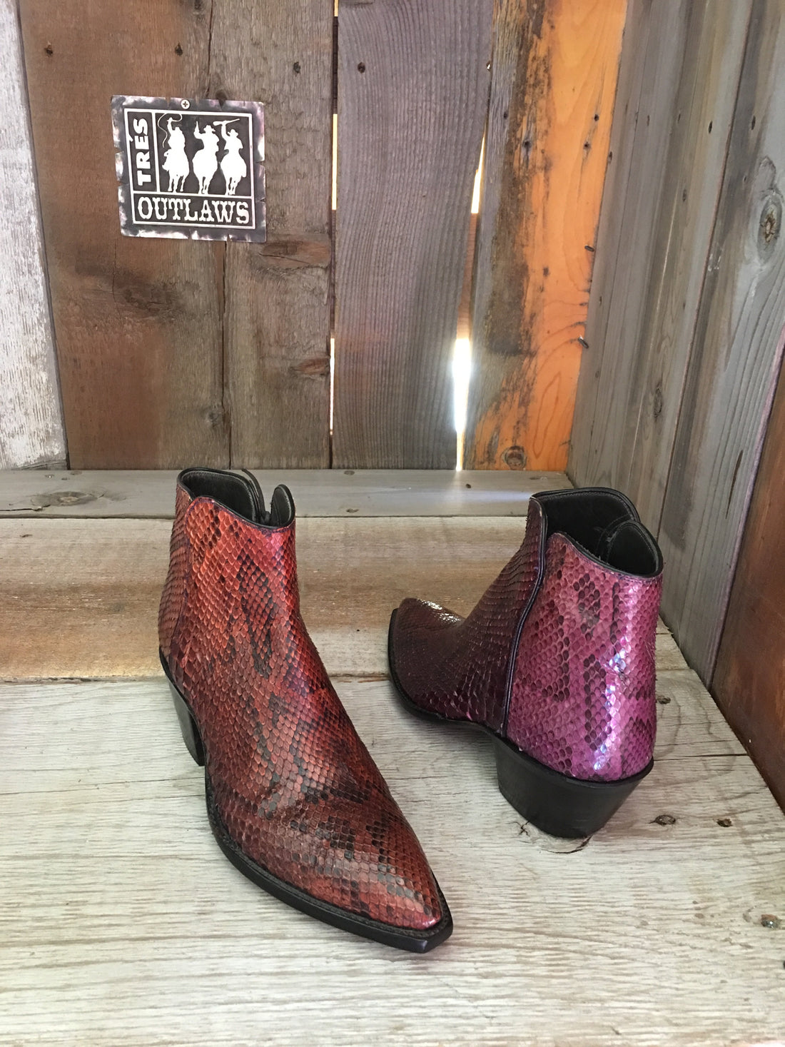 Burgundy Blush Off Goat 1745