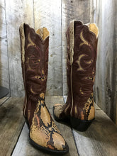 Natural Brown Python Choc Inlay Women's Tall Boot 1714
