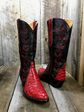 "Python Red Buffalo" Falconhead Women's Classic Boot 1786