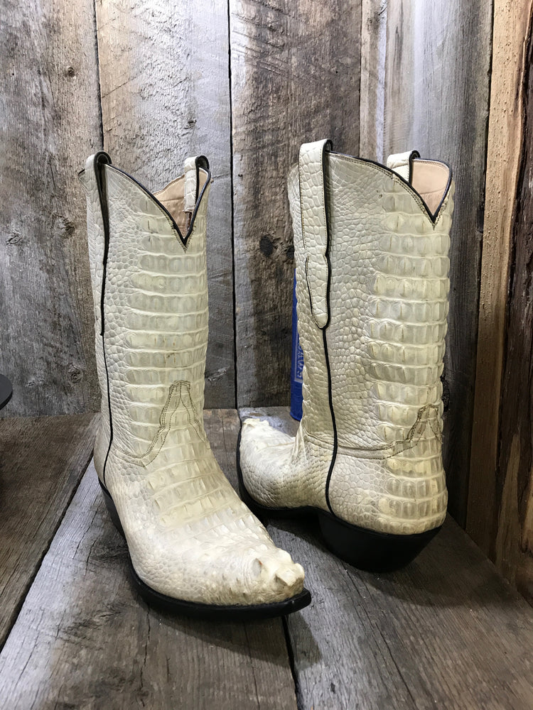 White Horn Back Alligator "Got Gator Collection" Men's Classic 4015