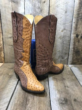 Saddle & Brown Ostrich Seamless Women's Tall Boot 2028