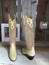 Bone Teju Lizard 1109