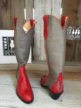 Red Teju Lizard 1205