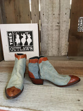 Brown Anteater  1800