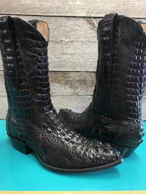 Gator