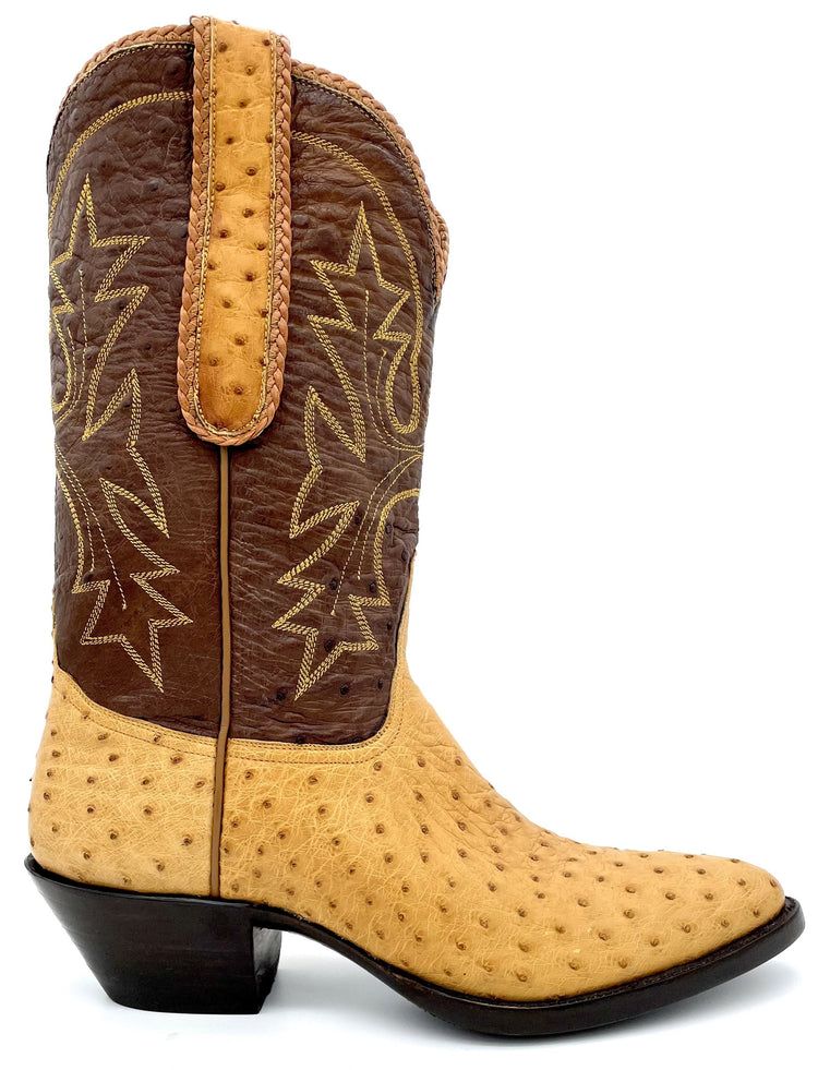 Saddle Ostrich Tres Outlaws Women's Classic 251