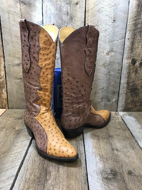 Saddle & Brown Ostrich Seamless Tres Outlaws Women's Tall Boot 2028
